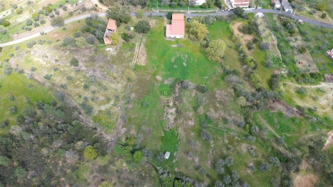 Terreno para Venda em Sarzedas