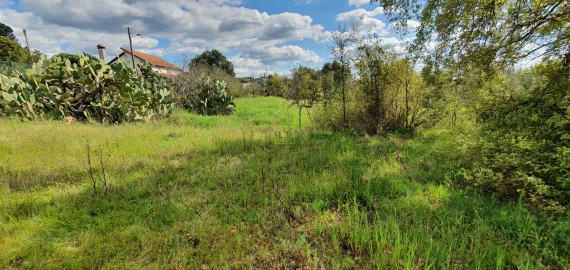 Terreno para Venda em Sarzedas