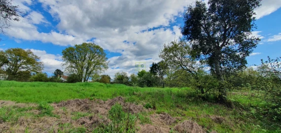 Terreno para Venda em Sarzedas