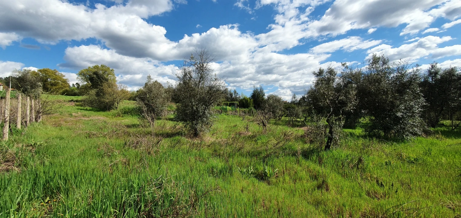 Terreno para Venda em Sarzedas Foto 11