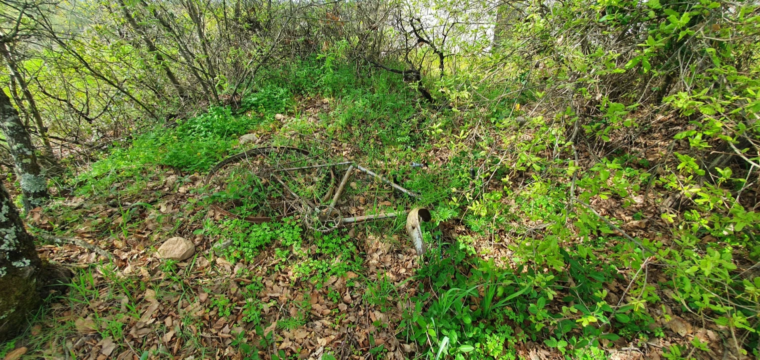 Terreno para Venda em Sarzedas Foto 4
