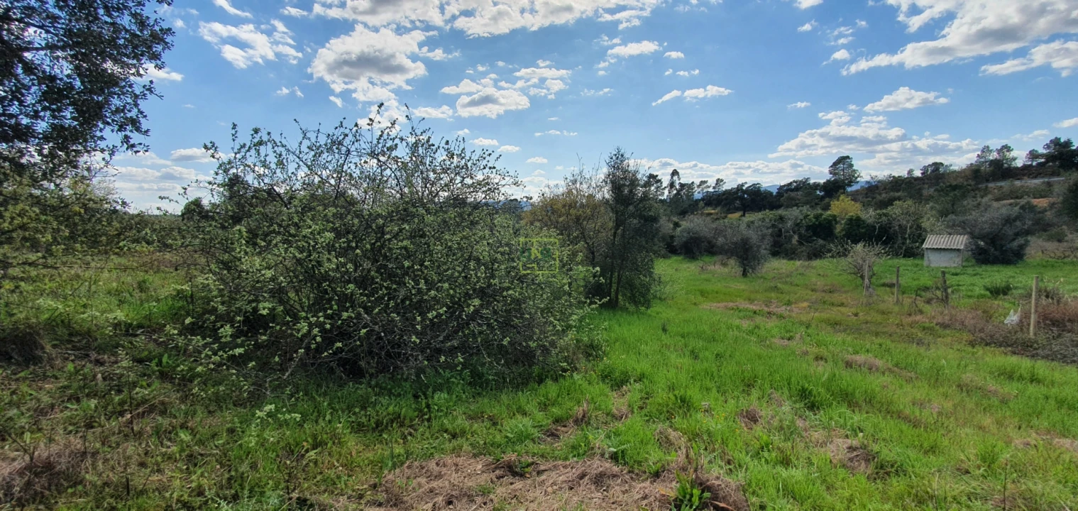 Terreno para Venda em Sarzedas Foto 12