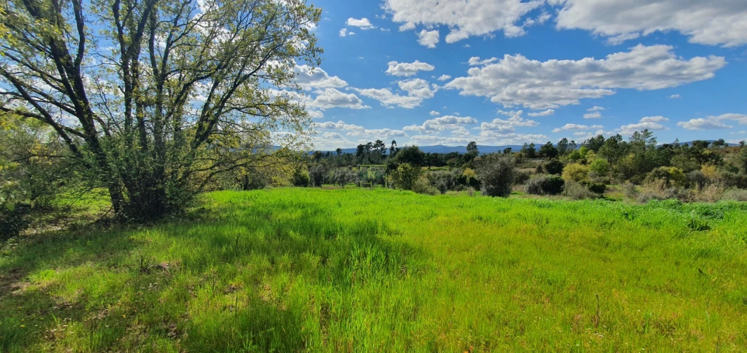 Terreno para Venda em Sarzedas Foto 5