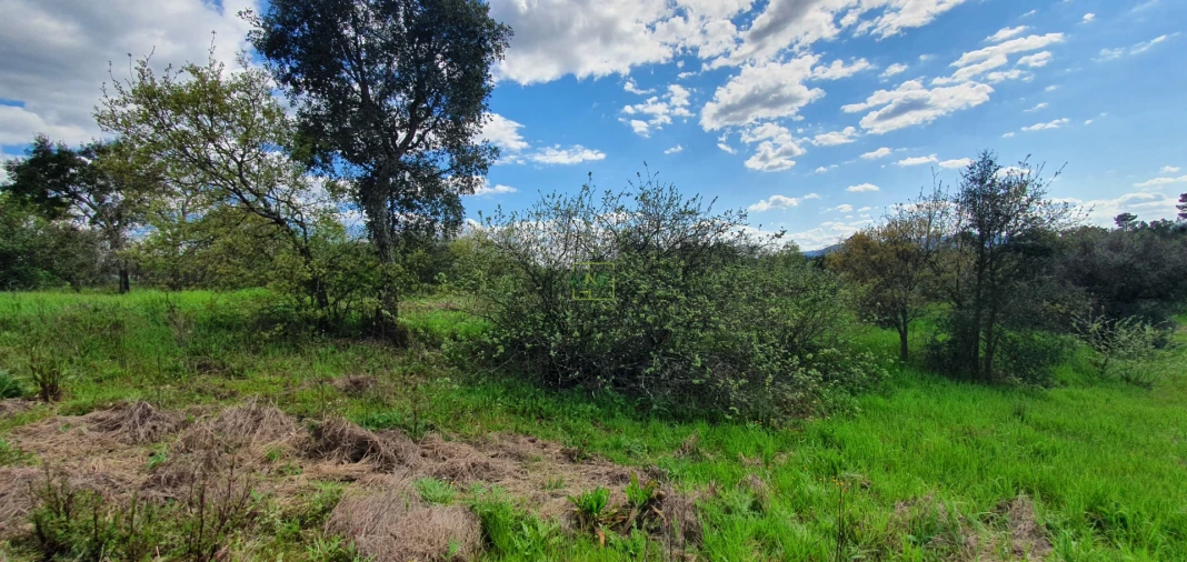 Terreno para Venda em Sarzedas Foto 14