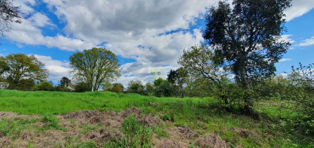 Terreno para Venda em Sarzedas Foto 15
