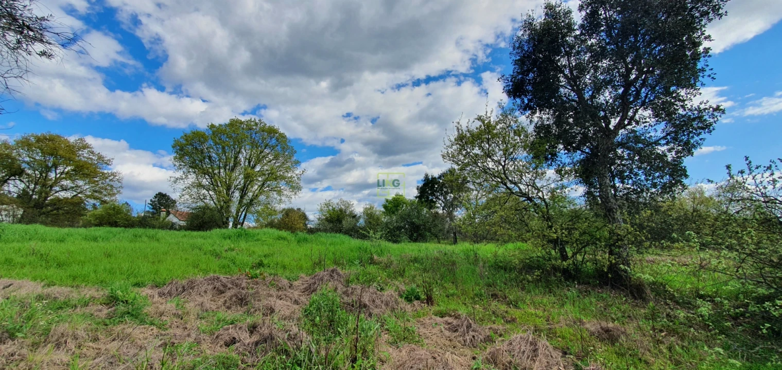 Terreno para Venda em Sarzedas Foto 15