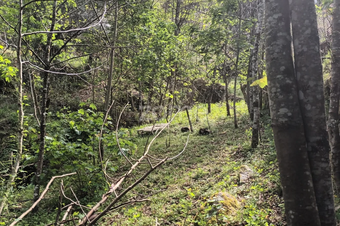 Terreno para Venda em Ventosa e Cova Foto 14