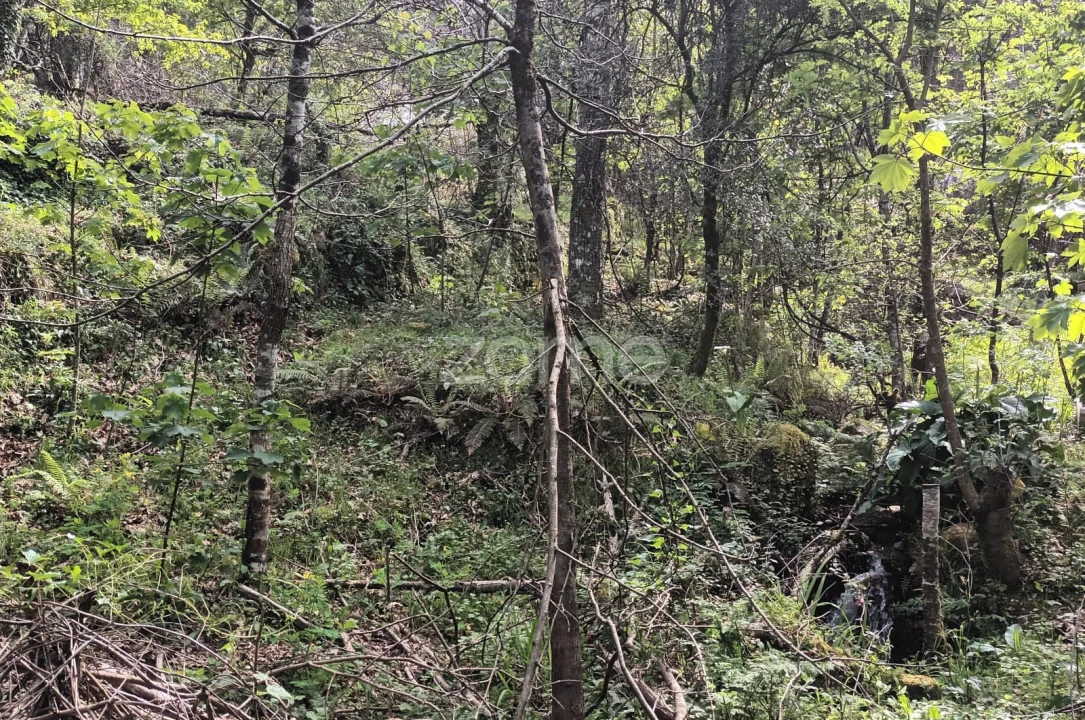 Terreno para Venda em Ventosa e Cova Foto 24