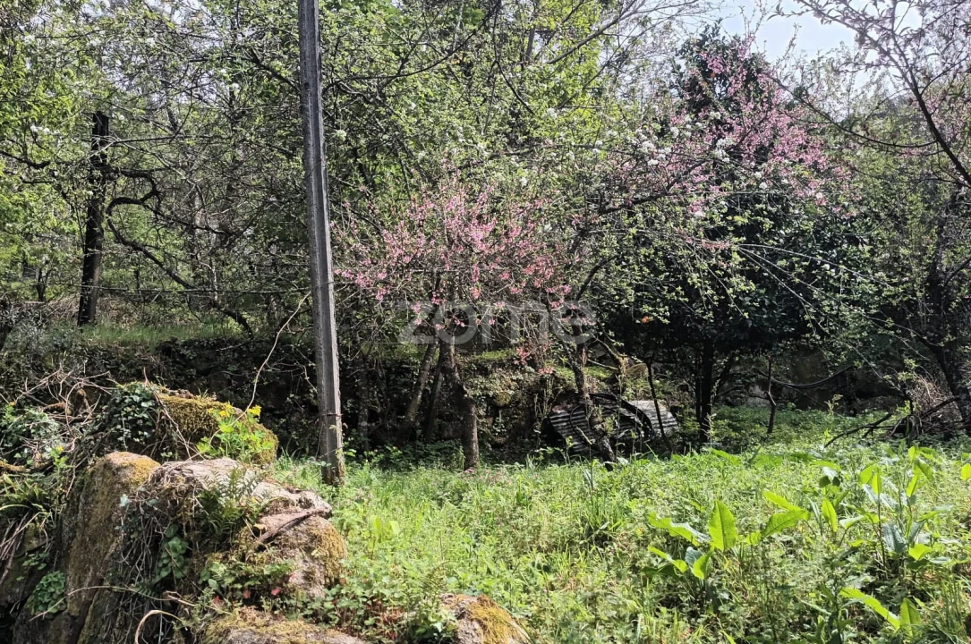 Terreno para Venda em Ventosa e Cova Foto 1