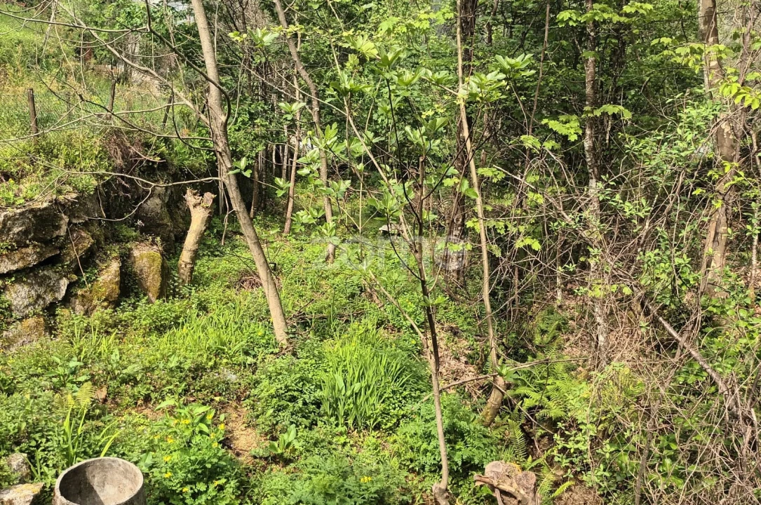 Terreno para Venda em Ventosa e Cova Foto 34