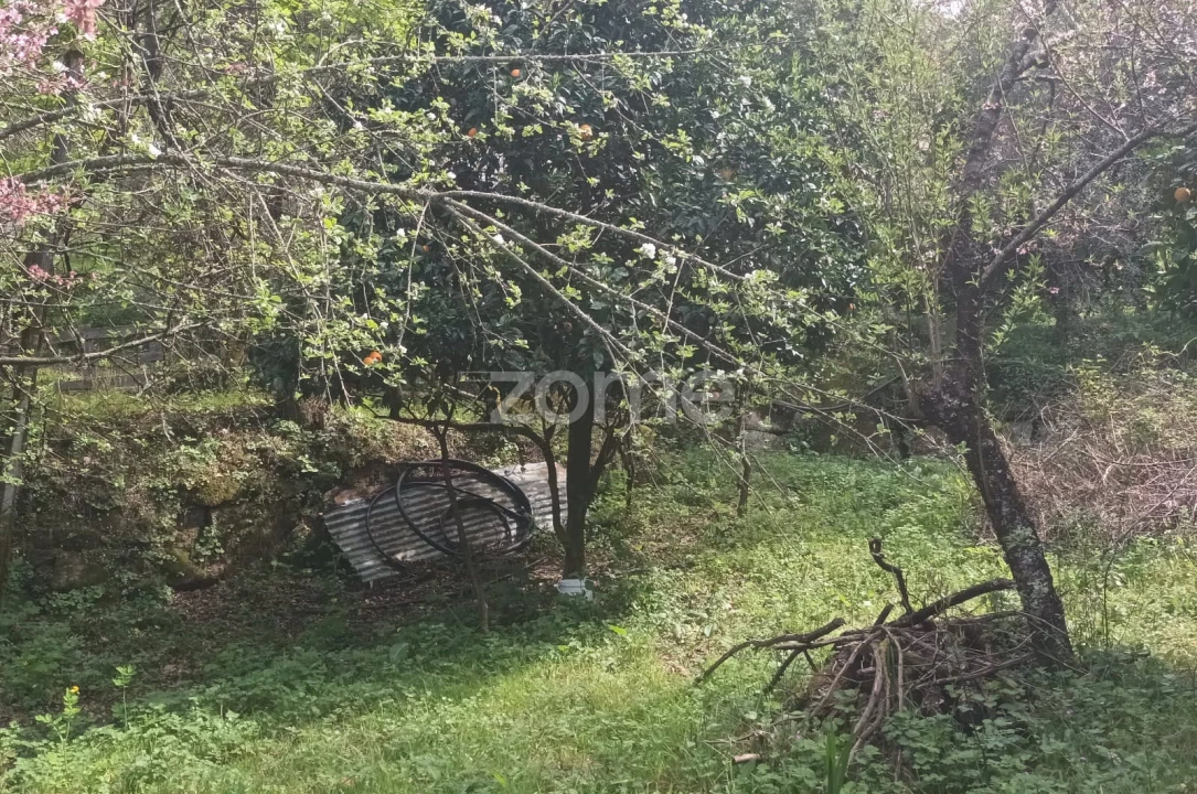 Terreno para Venda em Ventosa e Cova Foto 35