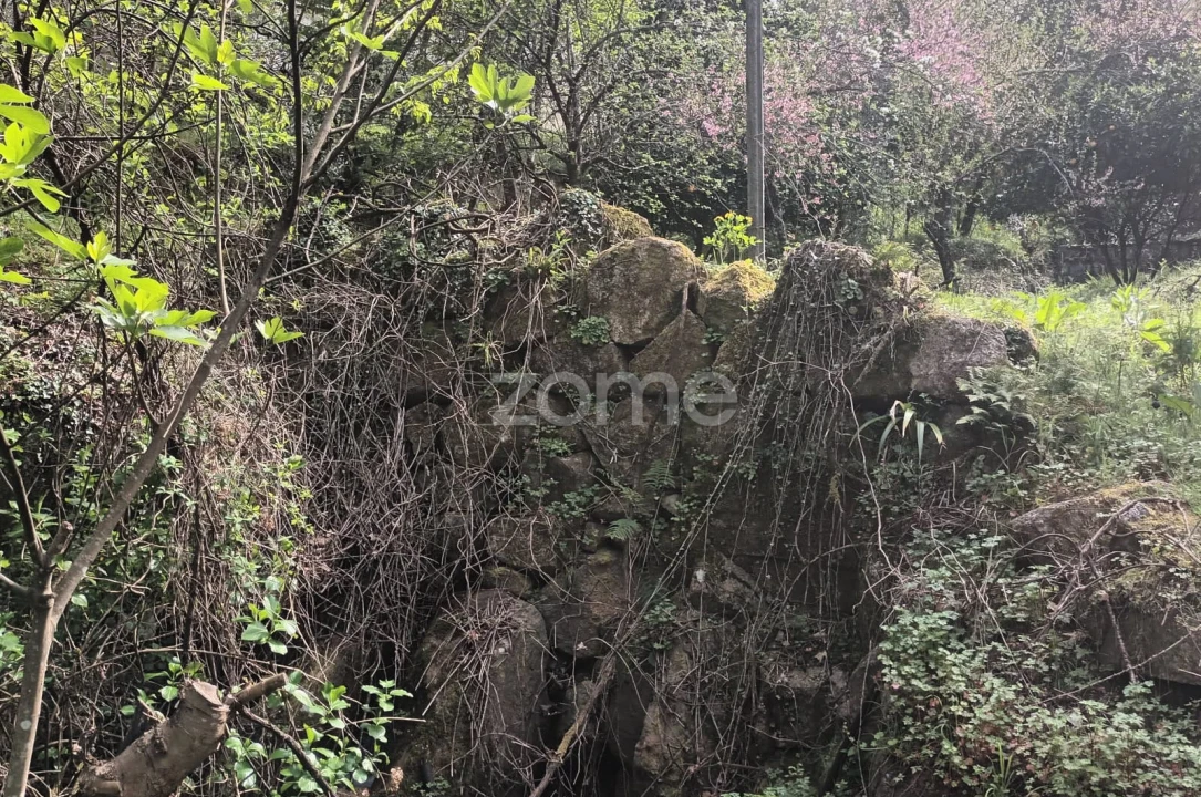 Terreno para Venda em Ventosa e Cova Foto 36