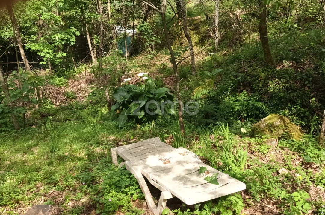 Terreno para Venda em Ventosa e Cova Foto 47