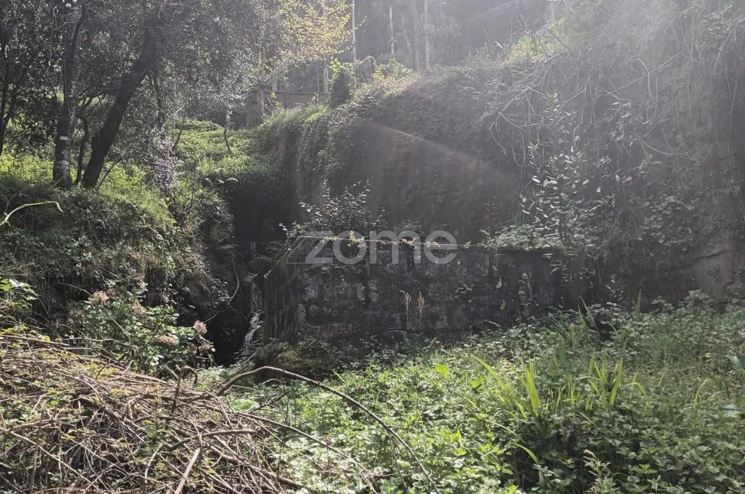 Terreno para Venda em Ventosa e Cova Foto 68