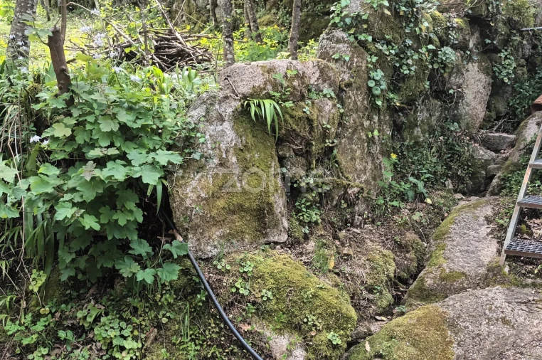Terreno para Venda em Ventosa e Cova Foto 9