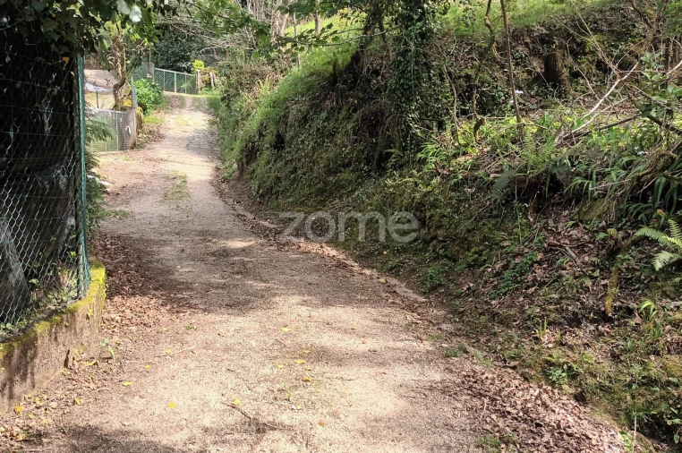 Terreno para Venda em Ventosa e Cova Foto 12