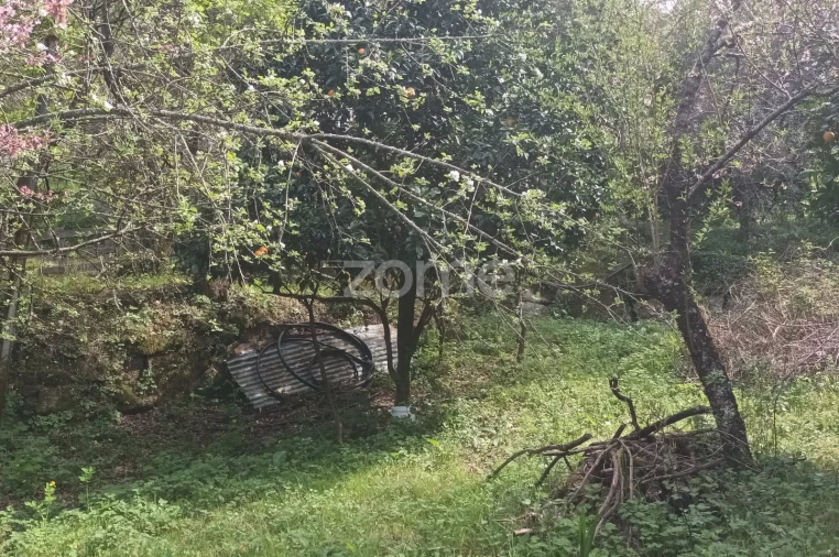 Terreno para Venda em Ventosa e Cova Foto 36