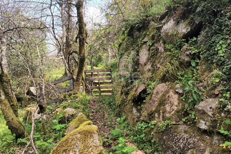 Terreno para Venda em Ventosa e Cova Foto 54