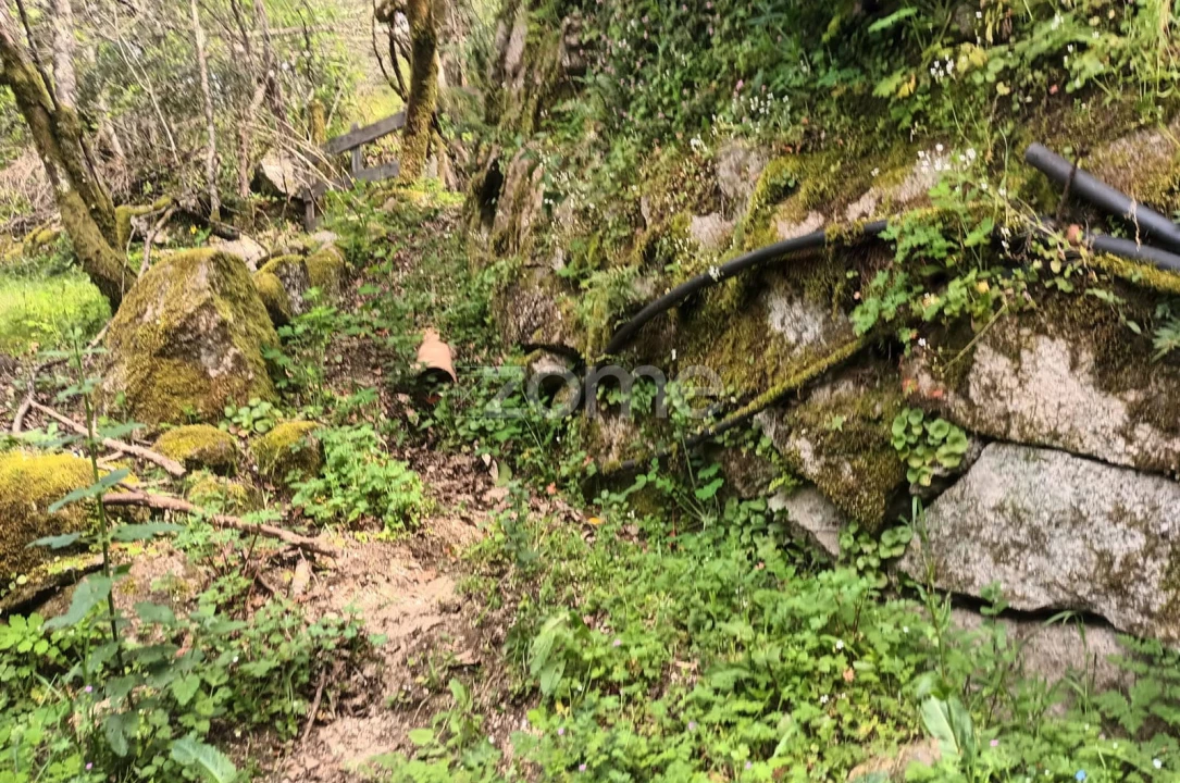 Terreno para Venda em Ventosa e Cova Foto 62