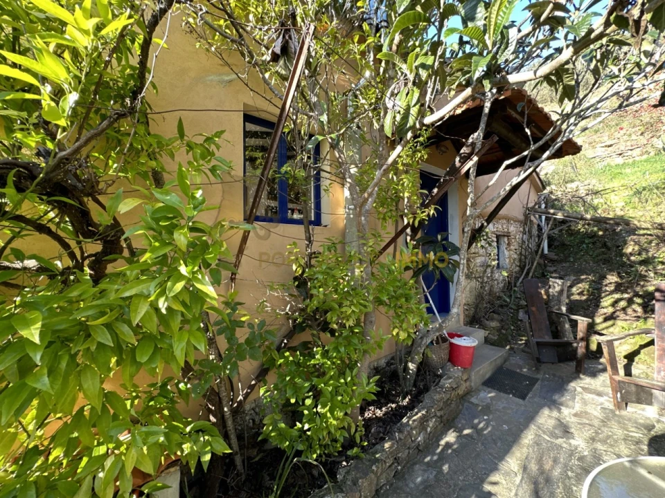 Negócio para Venda em Figueiró dos Vinhos e Bairradas Foto 36