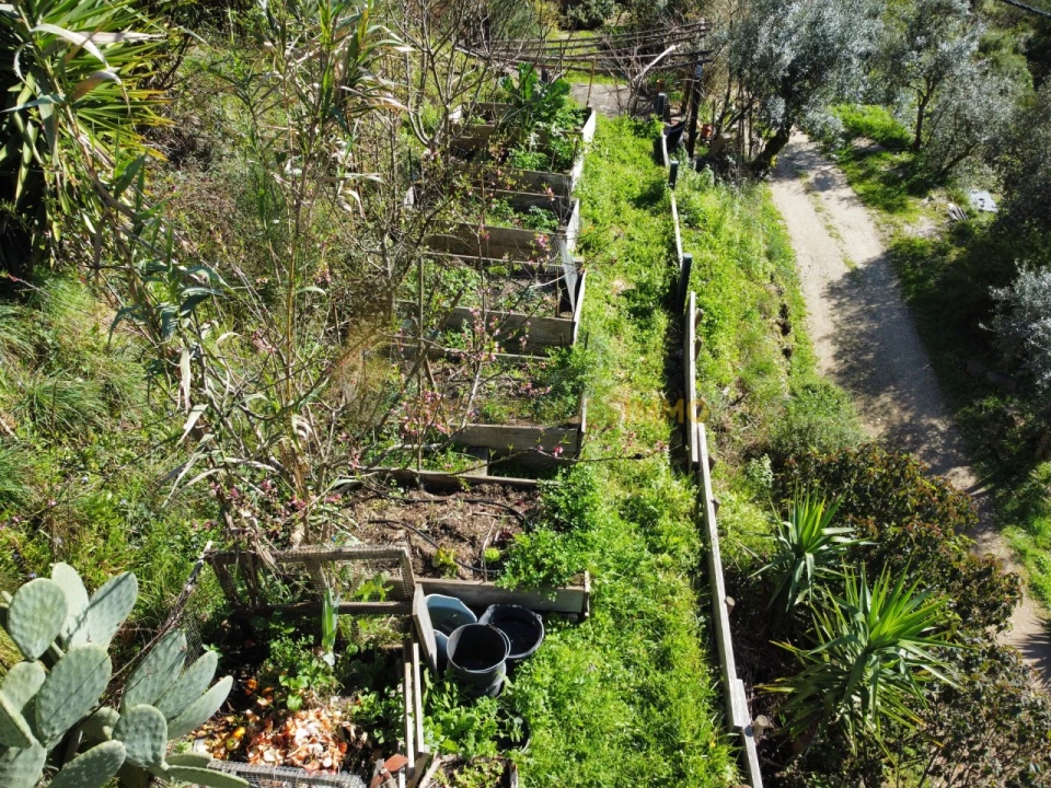 Negócio para Venda em Figueiró dos Vinhos e Bairradas Foto 42