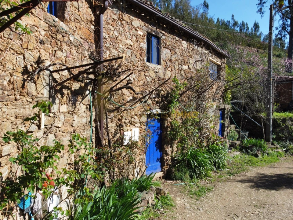 Negócio para Venda em Figueiró dos Vinhos e Bairradas Foto 45