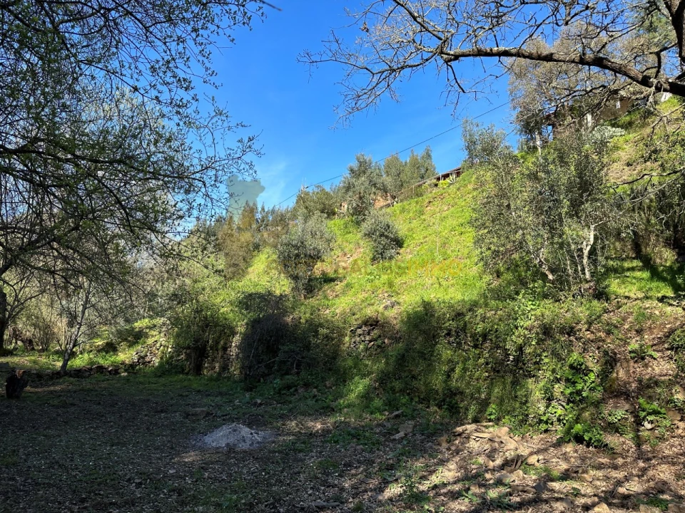 Negócio para Venda em Figueiró dos Vinhos e Bairradas Foto 50