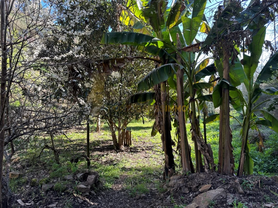 Negócio para Venda em Figueiró dos Vinhos e Bairradas Foto 51