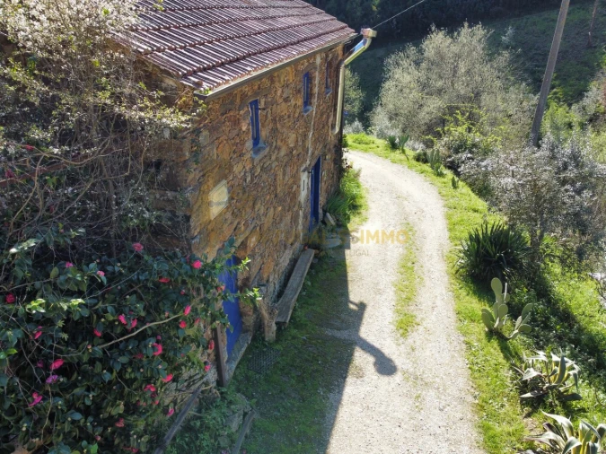 Negócio para Venda em Figueiró dos Vinhos e Bairradas Foto 39