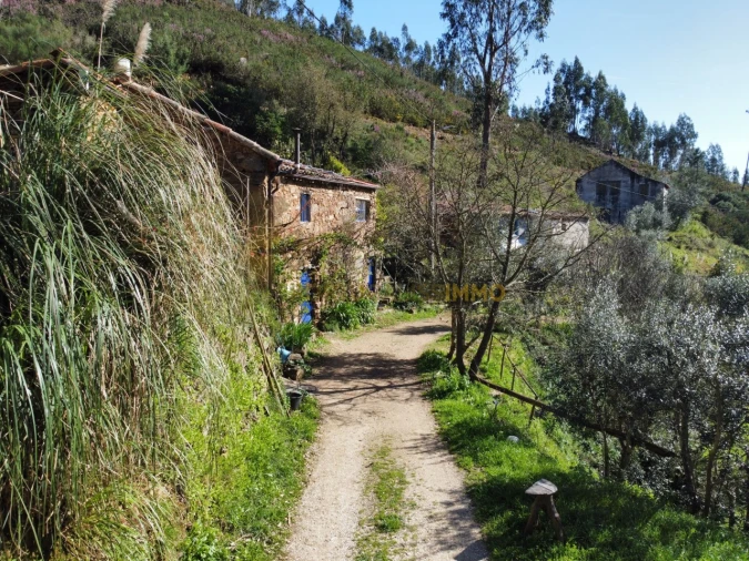 Negócio para Venda em Figueiró dos Vinhos e Bairradas Foto 41