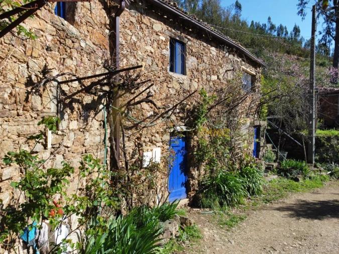 Negócio para Venda em Figueiró dos Vinhos e Bairradas Foto 45