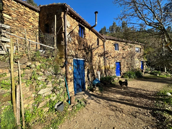 Negócio para Venda em Figueiró dos Vinhos e Bairradas Foto 47