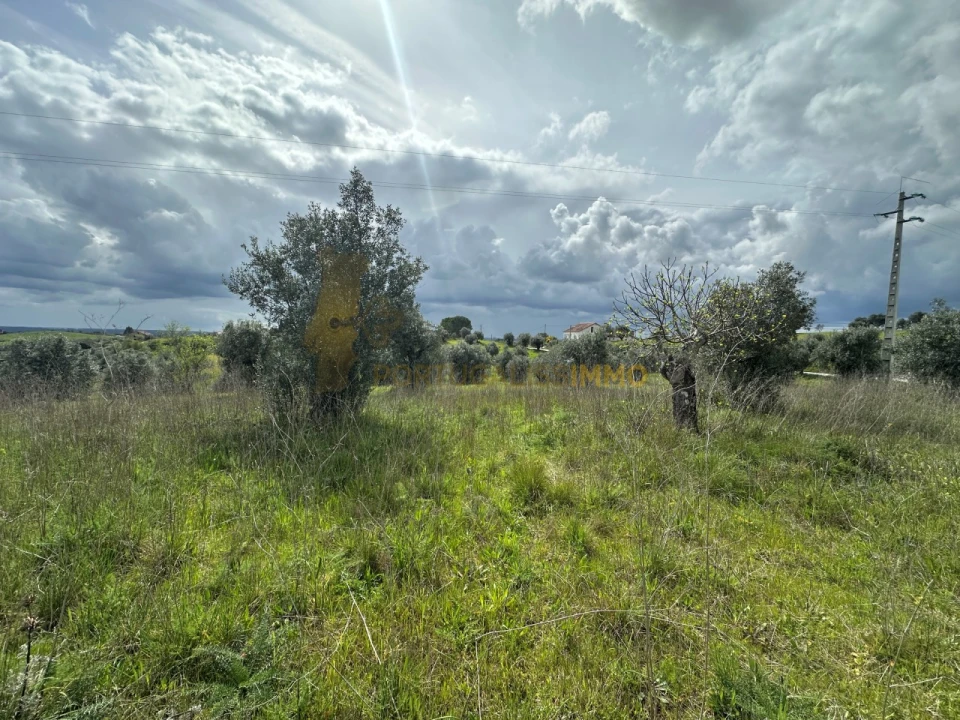 Terreno para Venda em São João Baptista e Santa Maria dos Olivais Foto 8