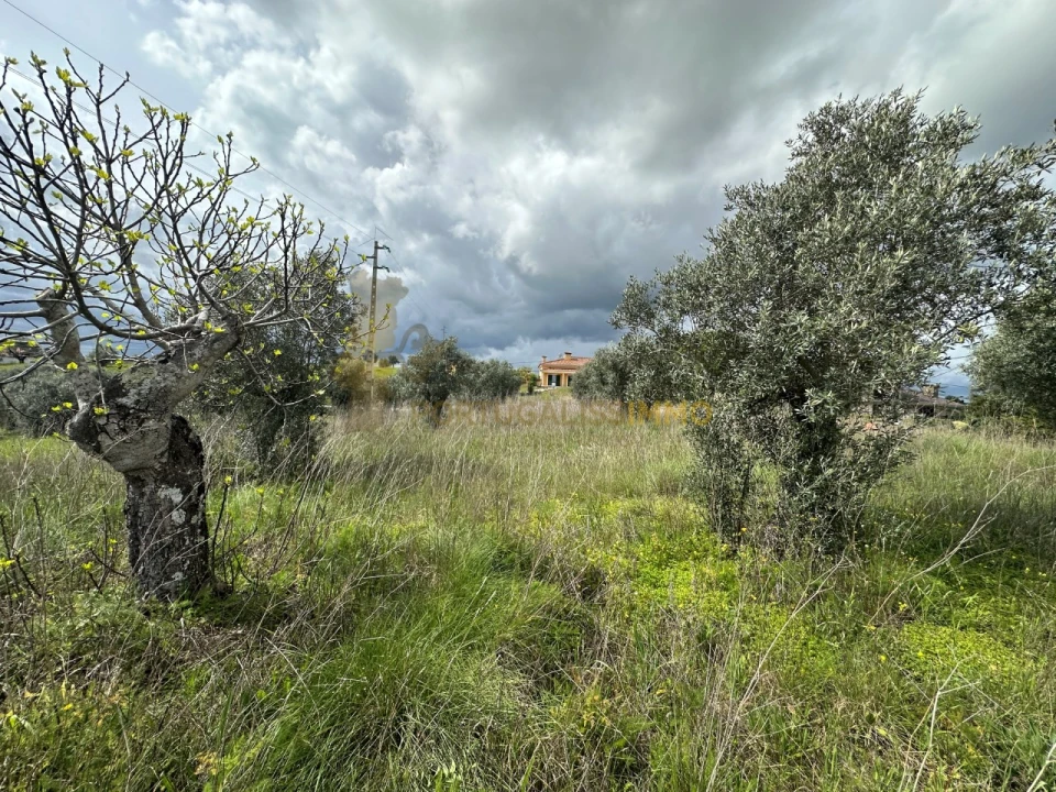 Terreno para Venda em São João Baptista e Santa Maria dos Olivais Foto 11