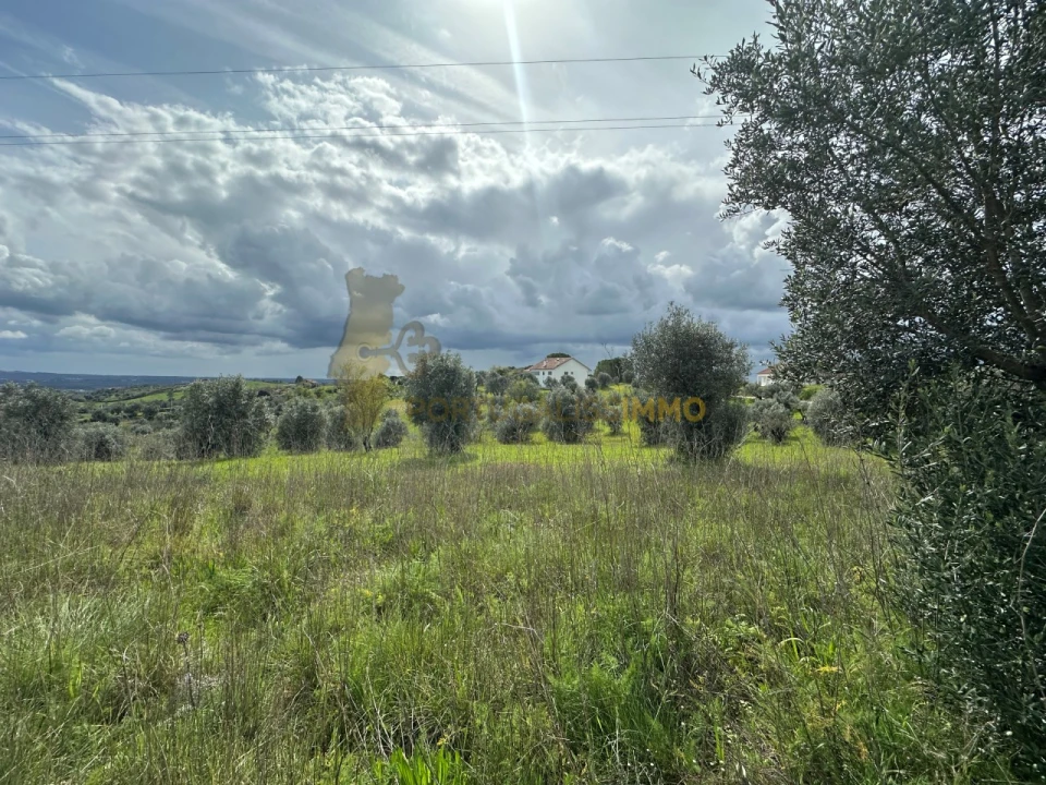 Terreno para Venda em São João Baptista e Santa Maria dos Olivais Foto 15