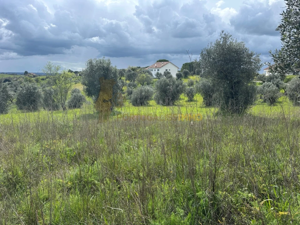 Terreno para Venda em São João Baptista e Santa Maria dos Olivais Foto 18