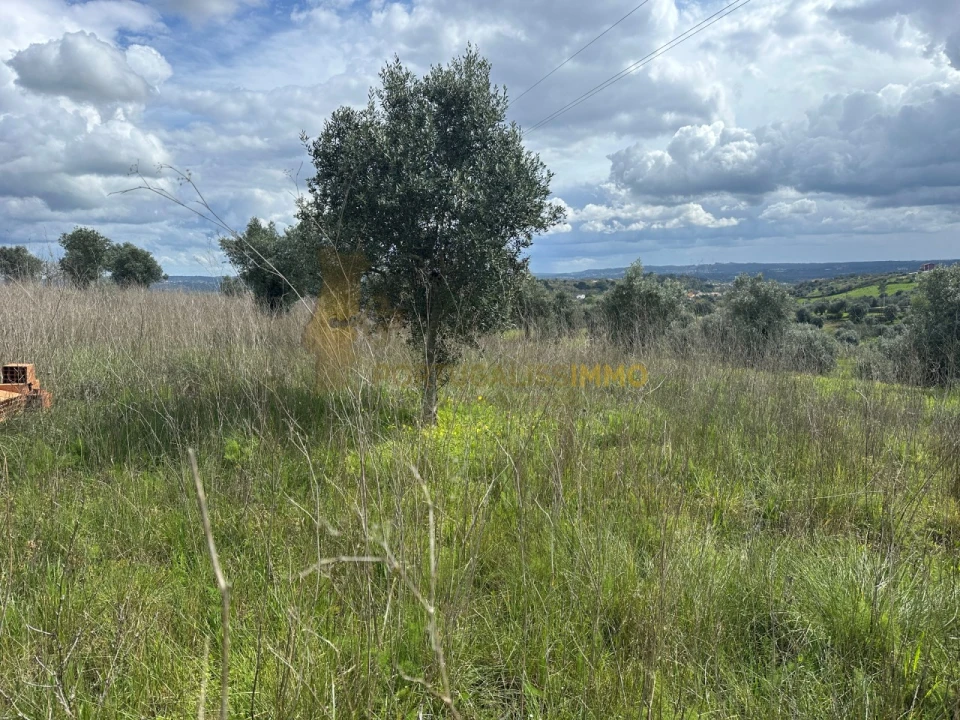 Terreno para Venda em São João Baptista e Santa Maria dos Olivais Foto 20