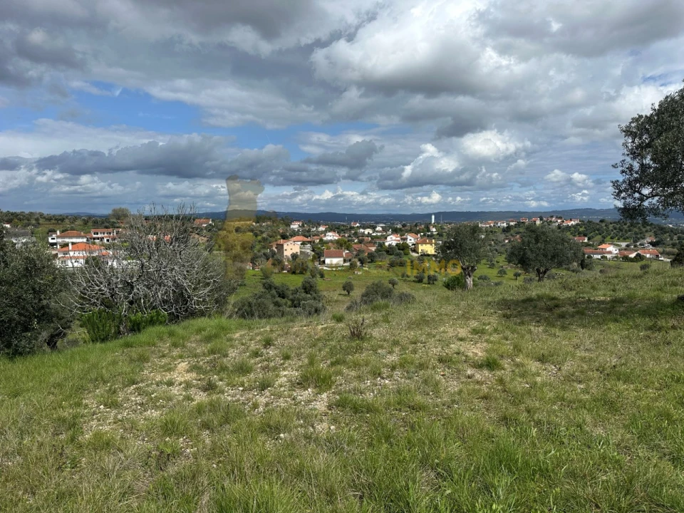 Terreno para Venda em São João Baptista e Santa Maria dos Olivais Foto 22
