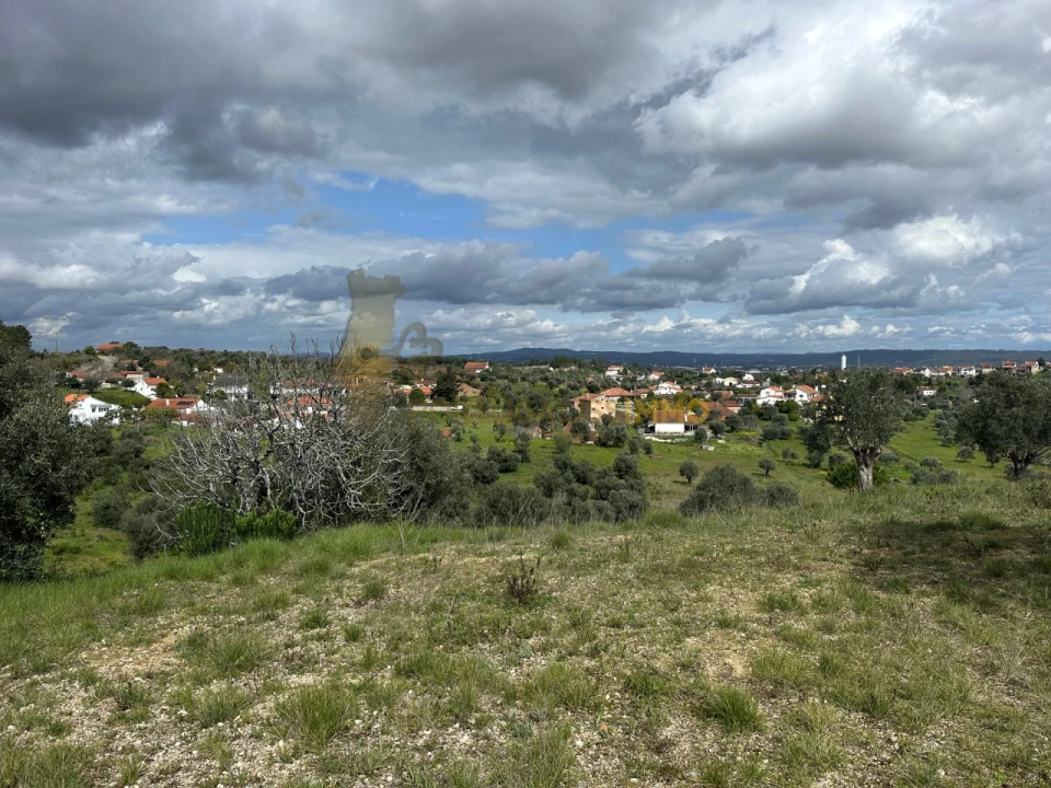 Terreno para Venda em São João Baptista e Santa Maria dos Olivais Foto 24