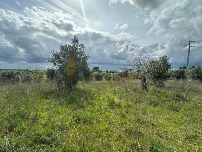Terreno para Venda em São João Baptista e Santa Maria dos Olivais Foto 8