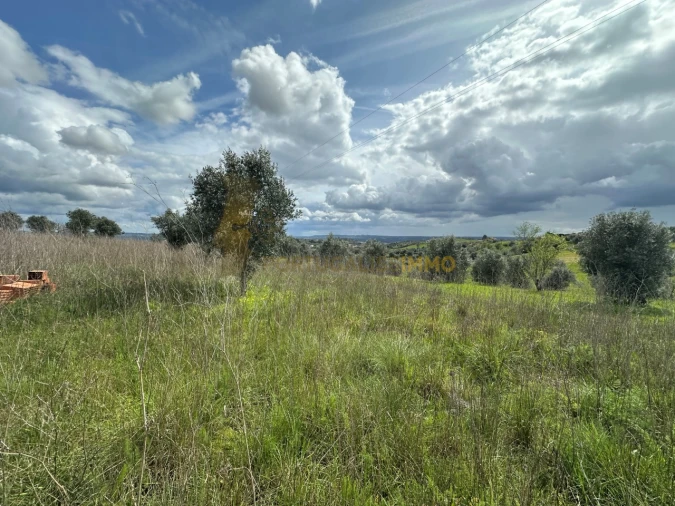 Terreno para Venda em São João Baptista e Santa Maria dos Olivais Foto 14
