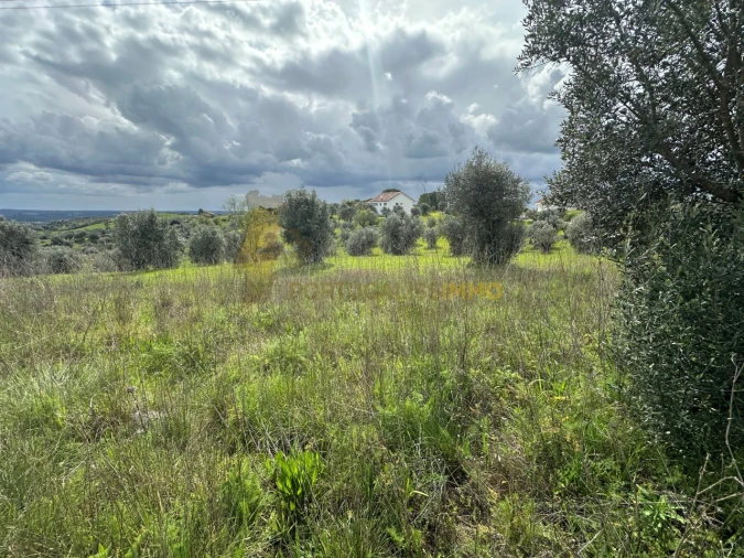 Terreno para Venda em São João Baptista e Santa Maria dos Olivais Foto 17