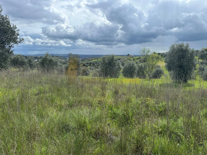Terreno para Venda em São João Baptista e Santa Maria dos Olivais Foto 19