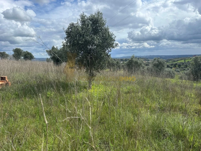 Terreno para Venda em São João Baptista e Santa Maria dos Olivais Foto 20