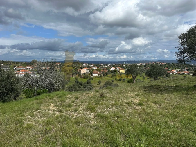 Terreno para Venda em São João Baptista e Santa Maria dos Olivais Foto 22