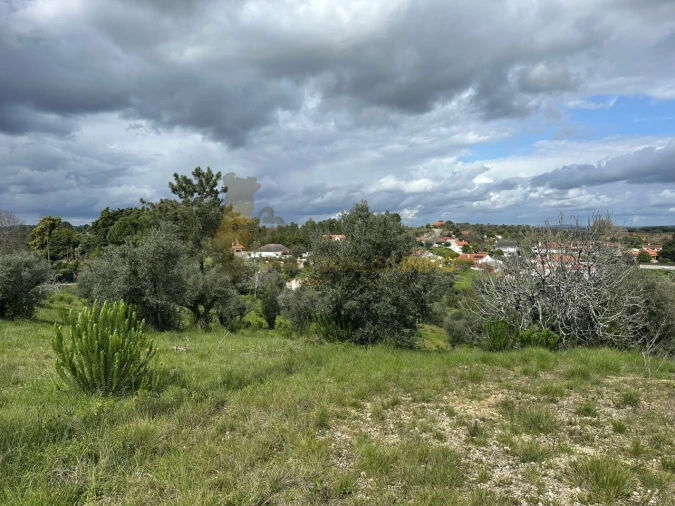 Terreno para Venda em São João Baptista e Santa Maria dos Olivais Foto 23