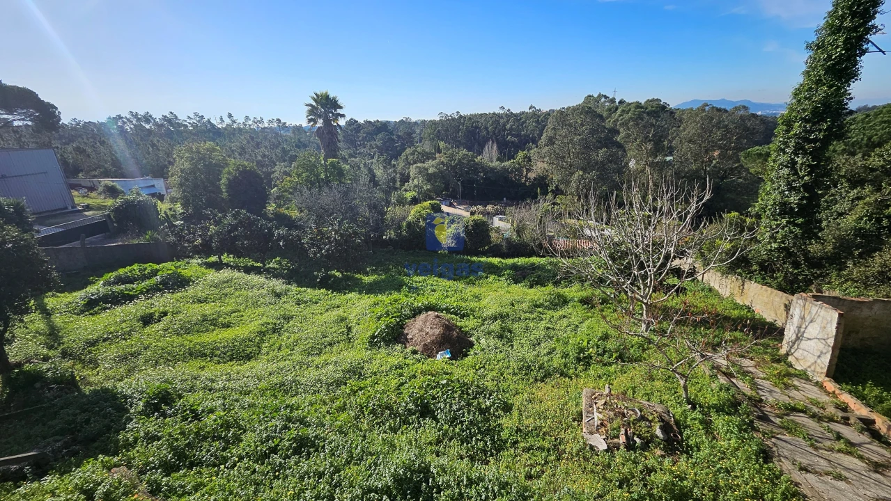 Terreno Agricola ou Rústico para Venda em Agualva e Mira-Sintra Foto 14