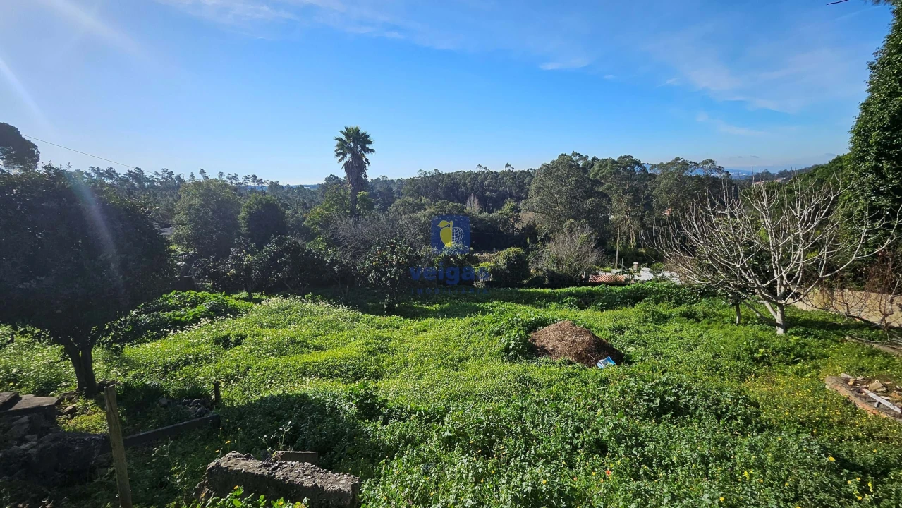Terreno Agricola ou Rústico para Venda em Agualva e Mira-Sintra Foto 6