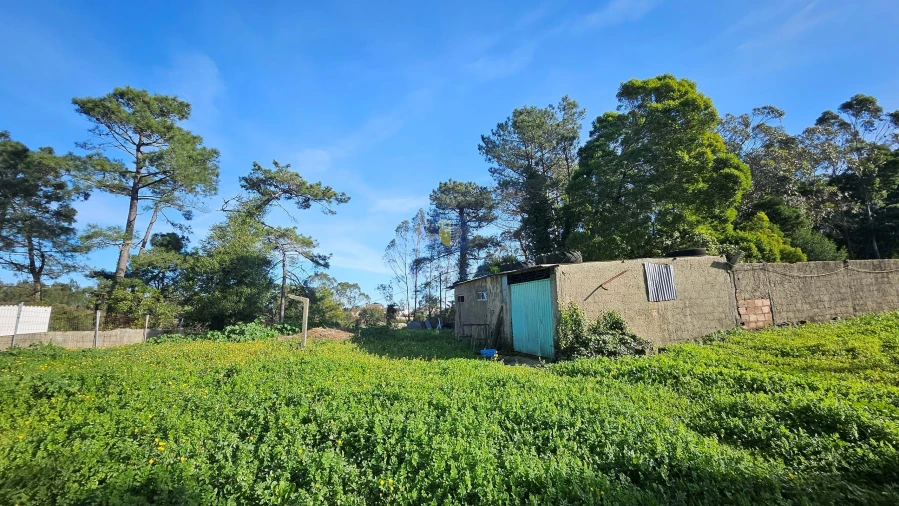 Terreno Agricola ou Rústico para Venda em Agualva e Mira-Sintra Foto 10