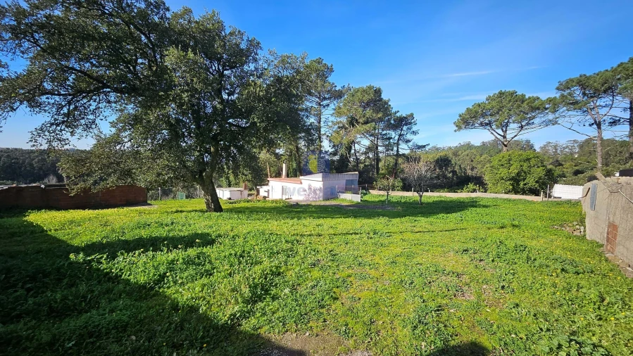 Terreno Agricola ou Rústico para Venda em Agualva e Mira-Sintra Foto 11